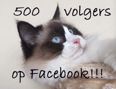 500 volgers
