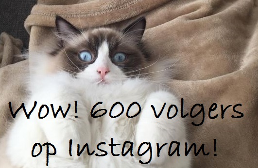 600 instagram Mauws.nl