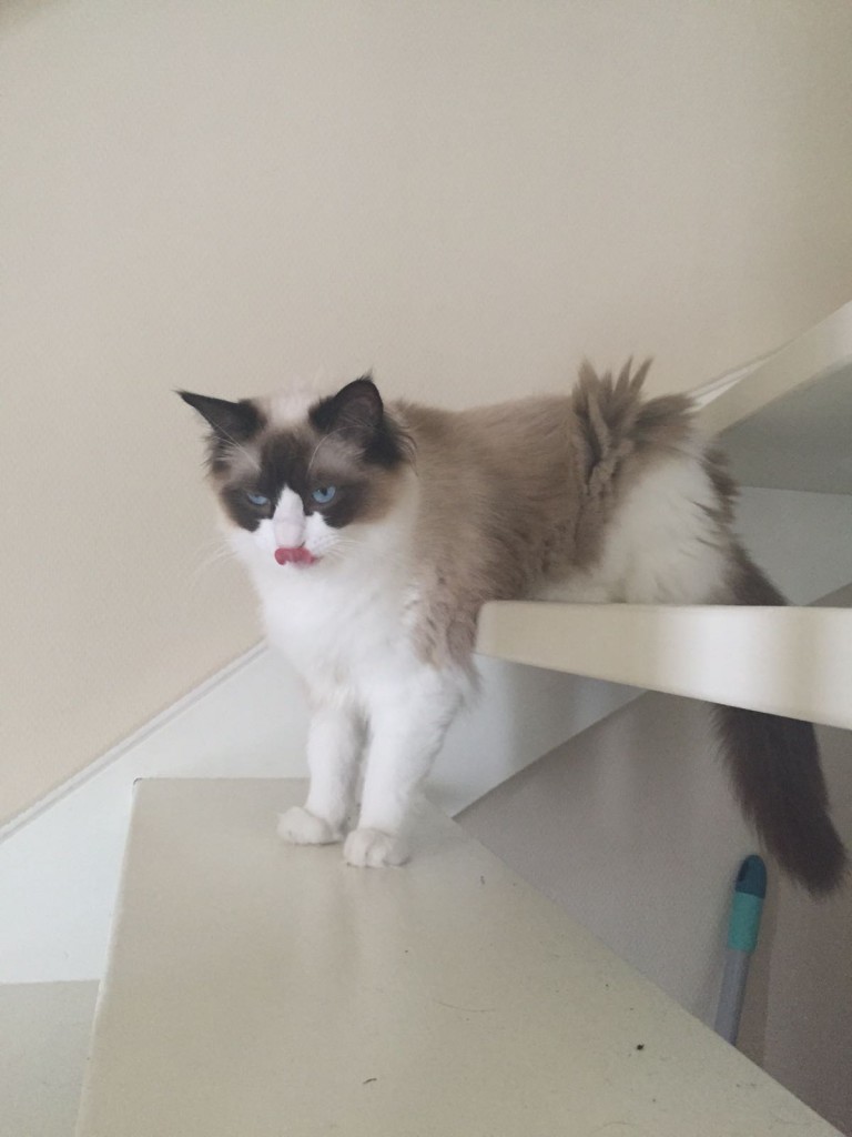 Mimi op de trap