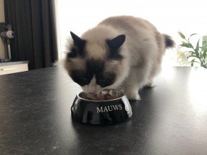 Mauws en Mimi - Dano Petfood