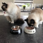 Mauws en Mimi - Dano Petfood