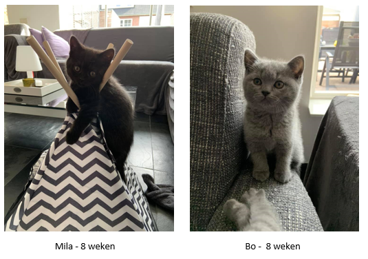 Meet Mila en Bo